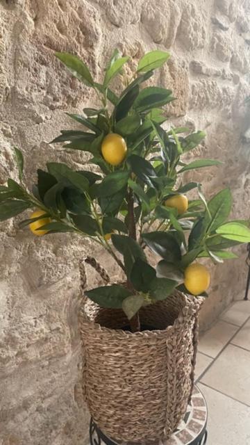 L'Isle Apartment Beaucaire  Bagian luar foto